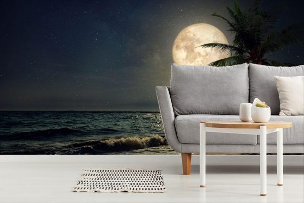 Beach & Tropical | Beach Lit By Full Moon Wall Mural Beach & Tropical Beach & Tropical