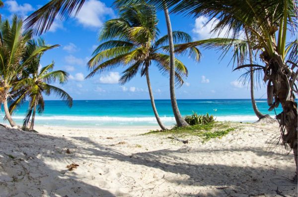 Beach & Tropical | Beautiful Sandy Beach And Tropical View Wallpaper Mural Beach & Tropical Beach & Tropical