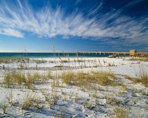 Beach & Tropical | Boardwalk to Paradise Wallpaper Mural Beach & Tropical Beach & Tropical