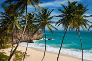 Beach & Tropical | Bottom Bay Beach In Barbados Wall Mural Beach & Tropical Beach & Tropical