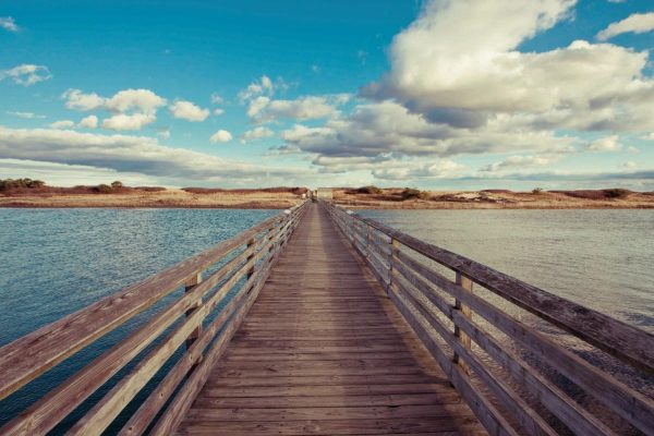 Beach & Tropical | Bridge to the Beach Mural Wallpaper Architectural Architectural