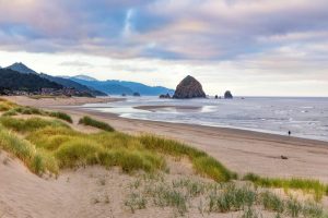 Beach & Tropical | Cannon Beach Sunrise Wallpaper Mural Beach & Tropical Beach & Tropical