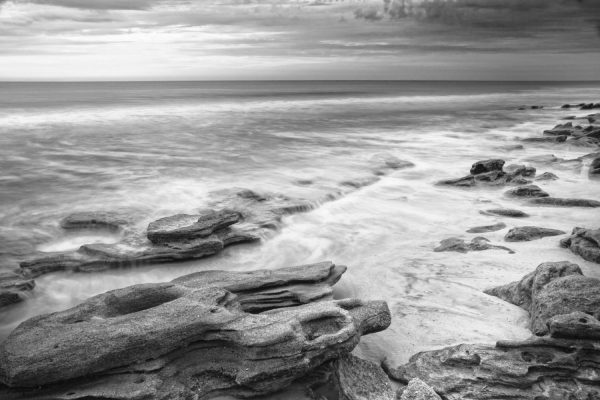 Beach & Tropical | Coquina Beach Tide Black & White Wall Mural Beach & Tropical Beach & Tropical