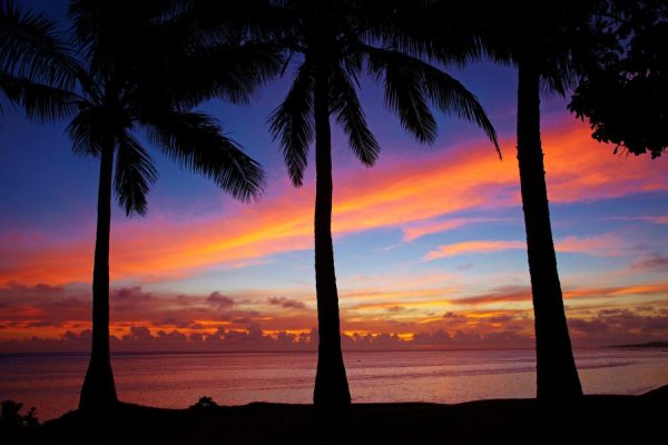 Beach & Tropical | Coral Coast, Fiji 2 Mural Wallpaper Beach & Tropical Beach & Tropical