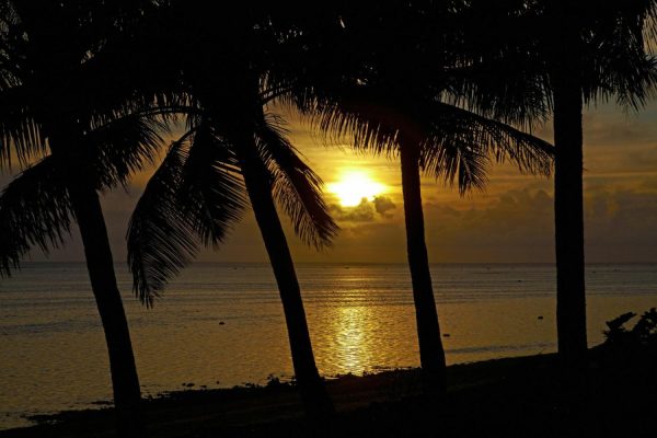 Beach & Tropical | Coral Coast, Fiji Mural Wallpaper Beach & Tropical Beach & Tropical