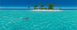 Beach & Tropical | Dolphin Duo Wall Mural Beach & Tropical Beach & Tropical