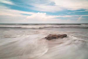 Beach & Tropical | Florida Ocean Flow Wall Mural Beach & Tropical Beach & Tropical