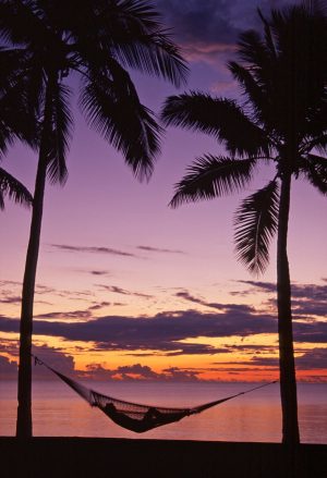 Beach & Tropical | Hammock At Sunset, Denaru Island, Fiji Wall Mural Beach & Tropical Beach & Tropical