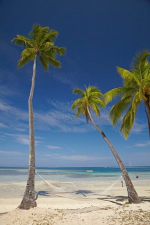 Beach & Tropical | Hammock in Fiji Mural Wallpaper Beach & Tropical Beach & Tropical