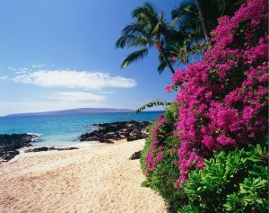 Beach & Tropical | Hidden Cove, South Maui Coast Mural Wallpaper Beach & Tropical Beach & Tropical