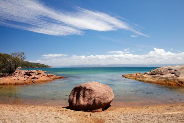 Beach & Tropical | Honeymoon Bay, Tasmania, Australia Wall Mural Beach & Tropical Beach & Tropical