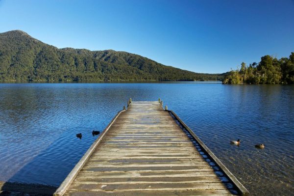 Beach & Tropical | Jetty, Lake Kaniere Mural Wallpaper Beach & Tropical Beach & Tropical