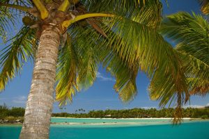 Beach & Tropical | Lagoon Entrance, Mamanuca Islands, Fiji Wallpaper Mural Beach & Tropical Beach & Tropical