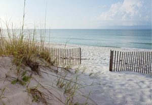 Beach & Tropical | Landscape of Dunes Beach, Gulf of Mexico Wallpaper Mural Beach & Tropical Beach & Tropical