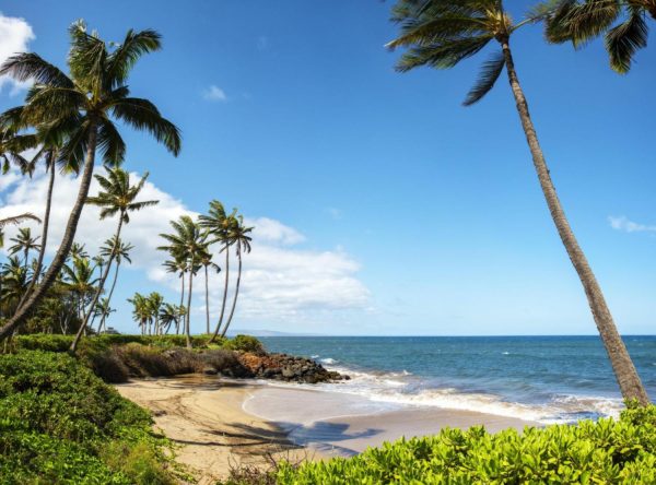 Beach & Tropical | Maui Beach at Kihei Wall Mural Beach & Tropical Beach & Tropical