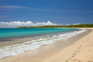 Beach & Tropical | Natadola Beach, Fiji Wall Mural Beach & Tropical Beach & Tropical