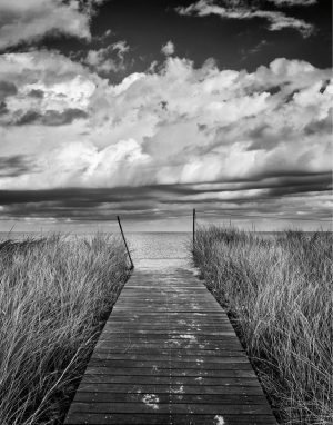 Beach & Tropical | Oak Bluffs Beach Path Wallpaper Mural Beach & Tropical Beach & Tropical