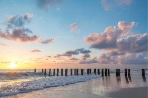 Beach & Tropical | Old Pier Pilings Wall Mural Beach & Tropical Beach & Tropical