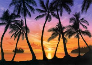 Beach & Tropical | Palm Beach Sundown Wall Mural Beach & Tropical Beach & Tropical