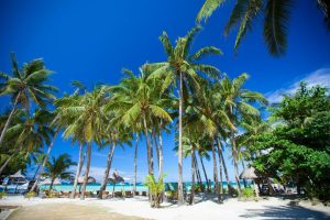 Beach & Tropical | Palm Tree Resort Mural Wallpaper Beach & Tropical Beach & Tropical