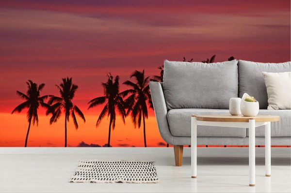 Beach & Tropical | Palm Trees & Sunset, Queens Road, Fiji Wall Mural Beach & Tropical Beach & Tropical