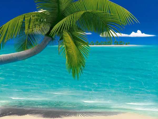 Beach & Tropical | Palms on Parade Mural Wallpaper Beach & Tropical Beach & Tropical