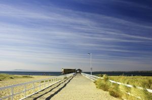 Beach & Tropical | Queenscliff Pier Mural Wallpaper Beach & Tropical Beach & Tropical