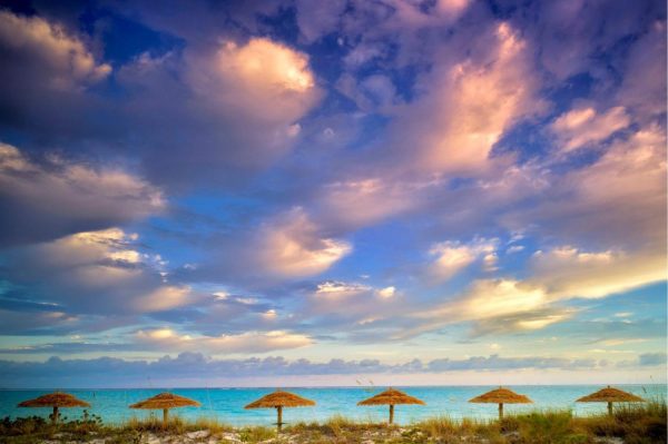 Beach & Tropical | Reed Umbellas And Sunrise Clouds Wall Mural Beach & Tropical Beach & Tropical