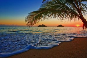 Beach & Tropical | Sunrise At Lanikai Beach Wallpaper Mural Beach & Tropical Beach & Tropical