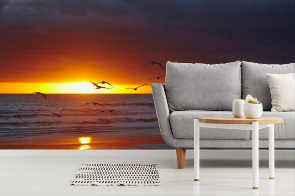 Beach & Tropical | Sunrise Over Bass Strait & Godfreys Beach Wallpaper Mural Beach & Tropical Beach & Tropical