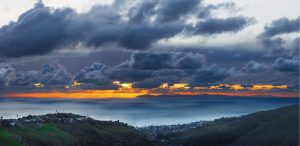 Beach & Tropical | Top Of The World Laguna Beach Wall Mural Beach & Tropical Beach & Tropical