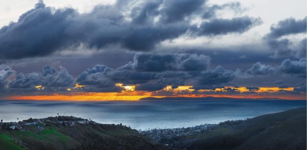 Beach & Tropical | Top Of The World Laguna Beach Wall Mural Beach & Tropical Beach & Tropical