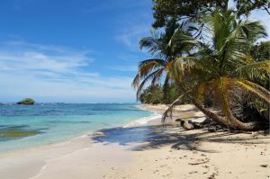 Beach & Tropical | Tropical Wild Sandy Beach With An Islet, Coconut Trees And Turquoise Waters Wall Mural Beach & Tropical Beach & Tropical