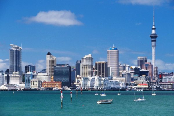 City & Skyline | Auckland City & Harbour Wallpaper Mural City & Skyline City & Skyline