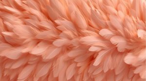 Colors | Beautiful Peach Feathers Wallpaper Mural Colors Colors