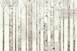 Colors | Birch Trees on White Mural Wallpaper Colors Colors