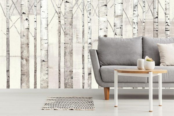 Colors | Birch Trees on White Mural Wallpaper Colors Colors