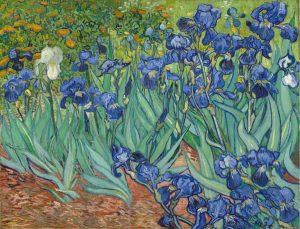 Colors | Irises (1889) Wall Mural Colors Colors