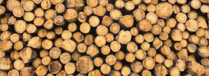 Extra Large | A Stack Of Wooden Logs Wall Mural Extra Large Extra Large