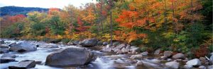 Extra Large | Autumn Ausable River Mural Wallpaper Extra Large Extra Large