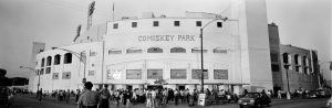 Extra Large | People Outside Comiskey Park Wall Mural Extra Large Extra Large