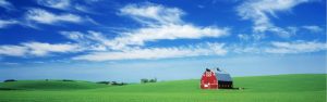 Extra Large | Red Barn In Field Wall Mural Extra Large Extra Large