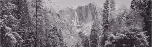 Extra Large | Snow Covered Yosemite Falls Wall Mural Extra Large Extra Large