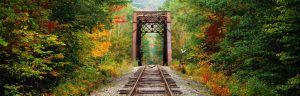 Extra Large | Train Tracks Passing Through A Forest Wallpaper Mural Extra Large Extra Large