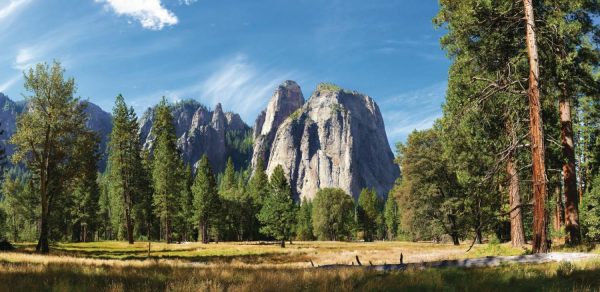 Extra Large | Yosemite Valley Cathedral Rocks Wall Mural Extra Large Extra Large