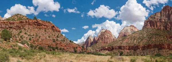 Extra Large | Zion Human History Museum Wall Mural Extra Large Extra Large