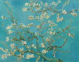 Fine Art | Almond Branches in Bloom Wall Mural Fine Art Fine Art