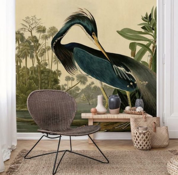 Fine Art | Louisiana Heron Wallpaper Mural Animals Animals