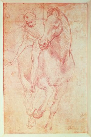 Fine Art | Study Of A Horse And Rider Wall Mural Fine Art Fine Art