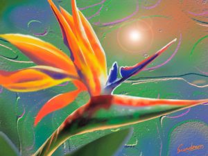 Flowers | Bird Of Paradise Wall Mural Flowers Flowers